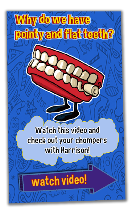 Click to watch this video and check out your chompers with Harrison!