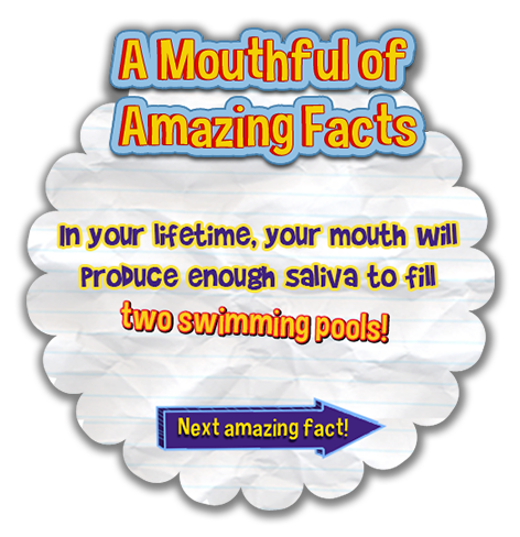 A mouth full of amazing facts.  In your lifetime, your mouth will produce enough saliva to fill two swimming pools!